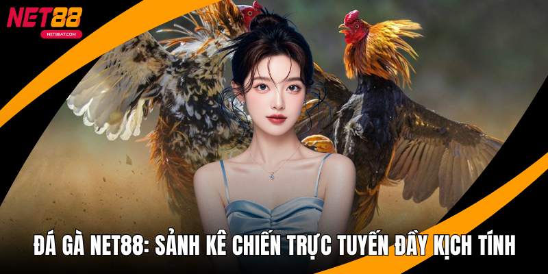 Đá Gà NET88 - Sảnh Kê Chiến Trực Tuyến Đầy Kịch Tính